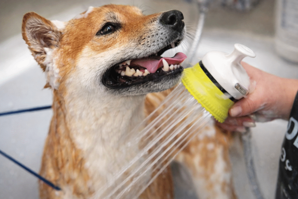 chatgpt image 14 feb 2026, 02 35 37 p.m.