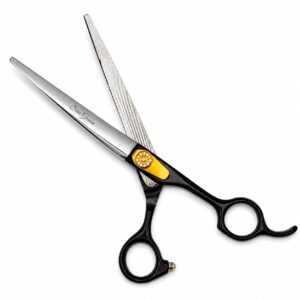 star groom shining midnight curva 11