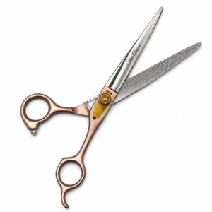 star groom shining pink horizon recta 11