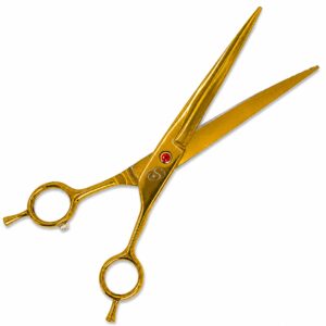 star groom shining nova gold curva 11