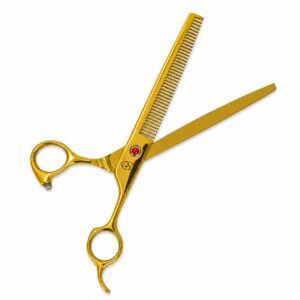 star groom shining nova gold entresacar 11