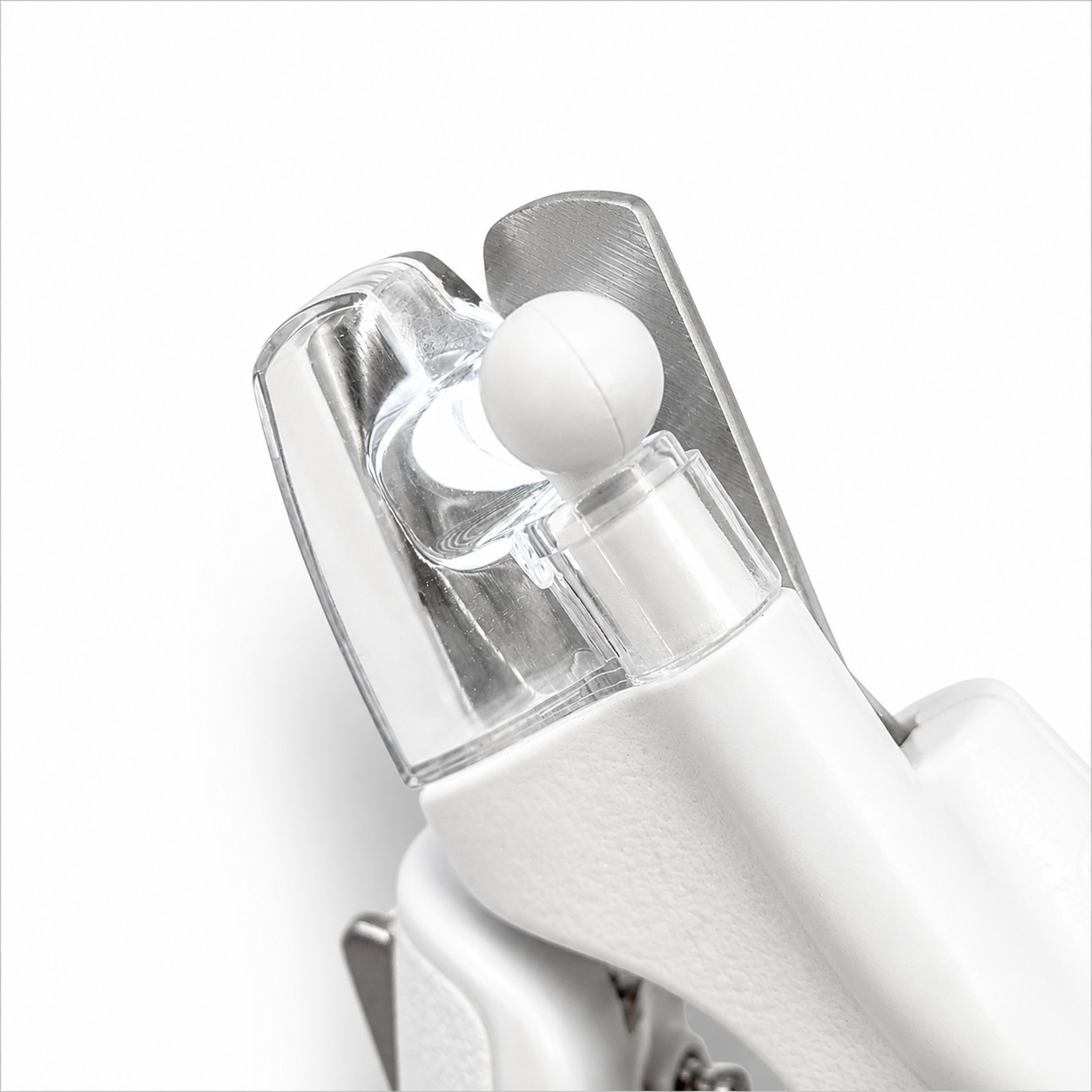 star groom star light pawlight 33 star groom star light pawlight 33